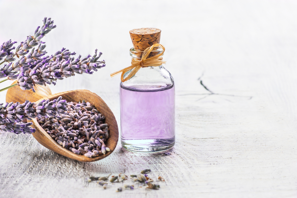 Minyak Telon Lavender : Wanginya Menenangkan