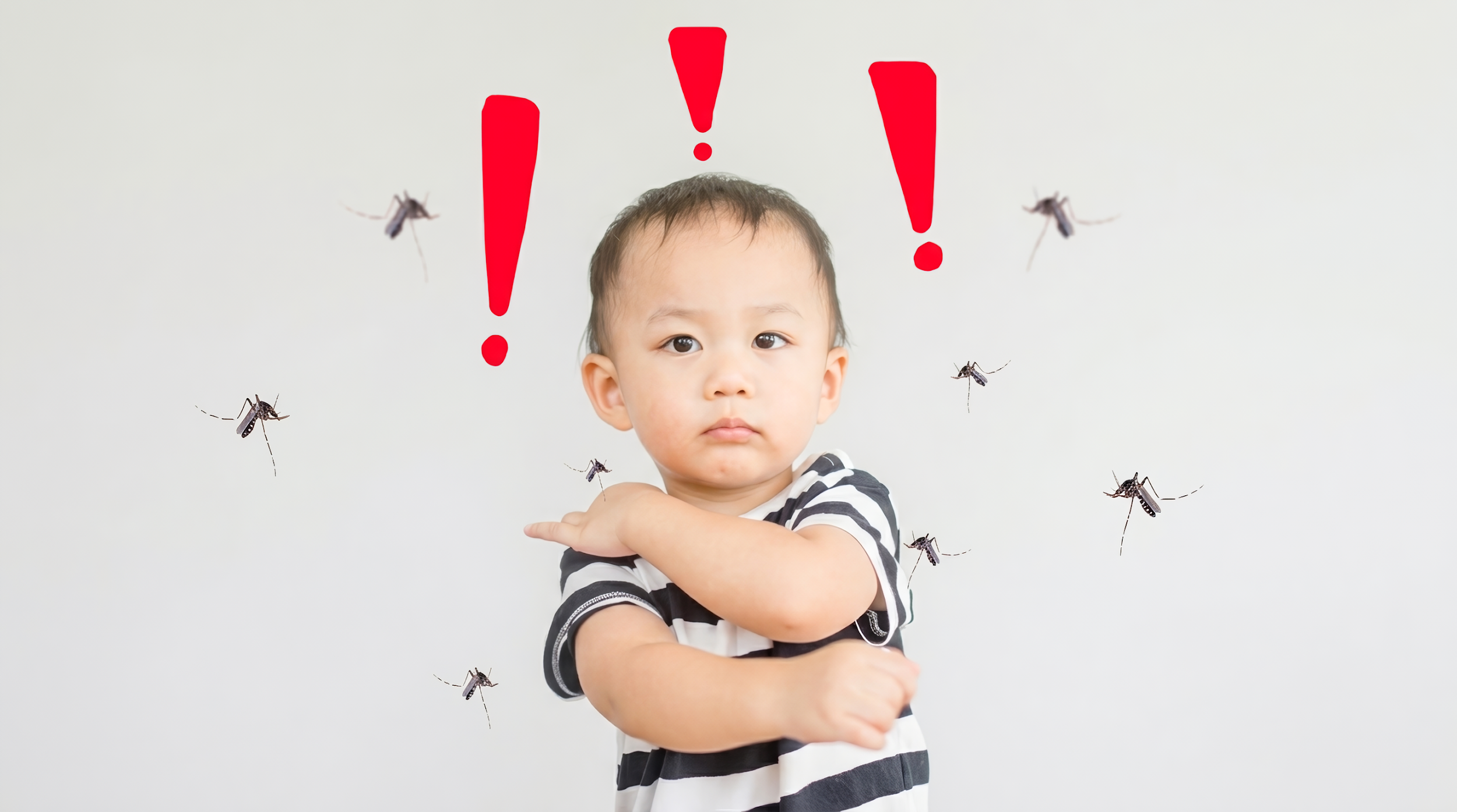 Hari DBD Nasional, Kenali Langkah 3M 2P untuk Cegah Nyamuk Demam Berdarah