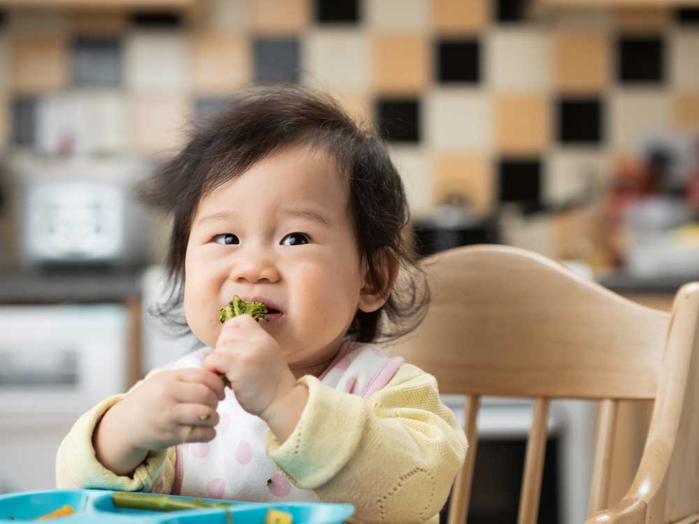 Mengenal Baby Led Weaning, Yes or No?